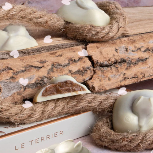 フランス 雑貨 |高級クッキーといえば|yanncouvreur|yann couvreur 通販|ヤン•クヴルー |terrierisatis