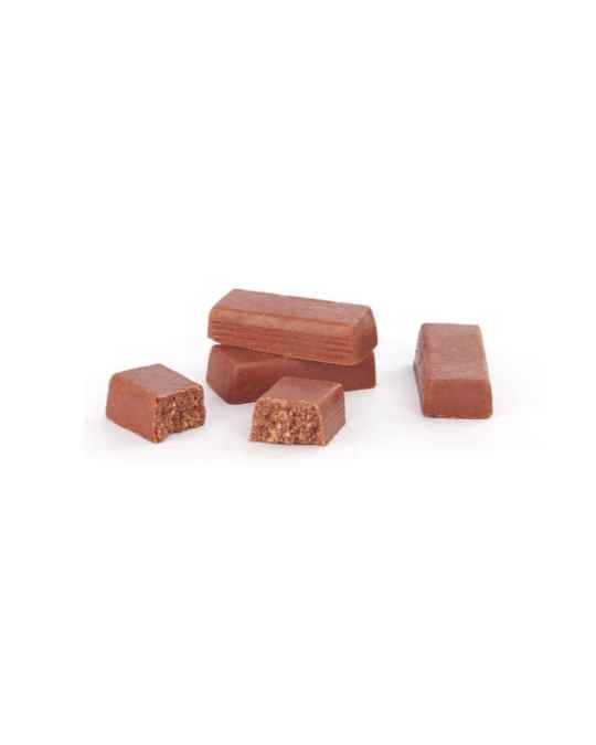 北フランスの赤レンガをかたどったカンタンバイィのチョコレート菓子 ブリケット・デュ・ノール