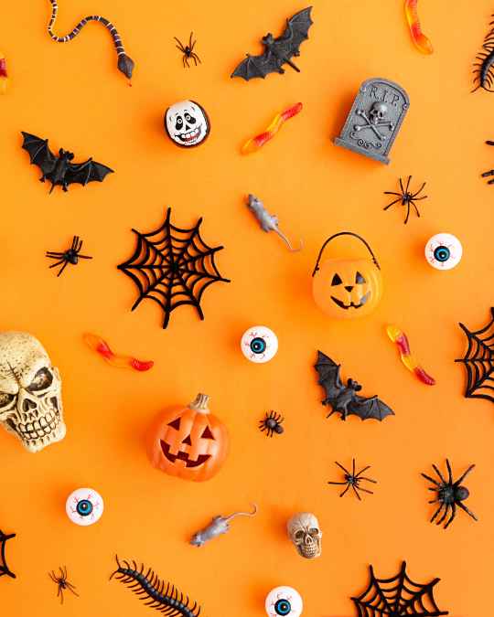 ハロウィンにおすすめのフランス菓子｜かぼちゃ色のパリ直送ギフト